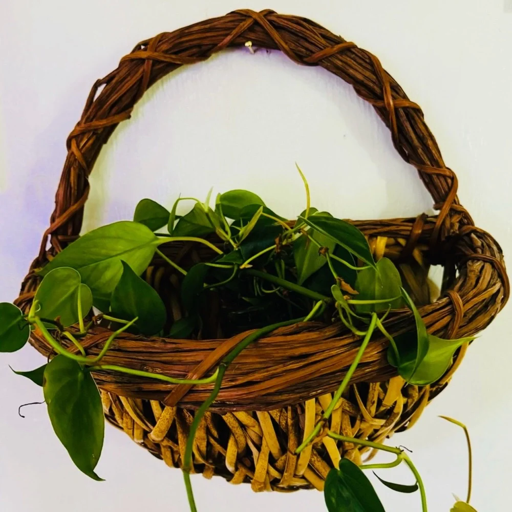 Wall Pocket Vintage Boho rattan twiggy 2 tone handmade in brown and tan